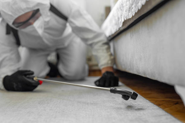 Professional Bed Bug Control technician working in Marion County County, FL